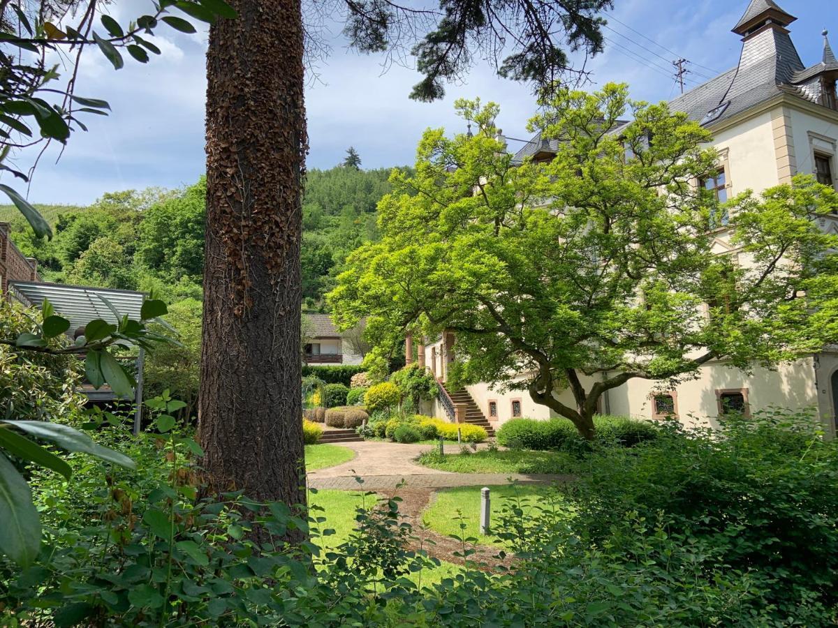Fewo Schieferjuwel 1 Og Weingut Ca-Haussmann Appartement Verbandsgemeinde Verbandsgemeinde Traben-Trarbach Buitenkant foto